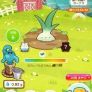 ヒメ日記 2025/09/25 13:35 投稿 こはる 宮崎ちゃんこ都城店