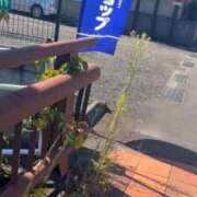 ヒメ日記 2025/10/12 12:08 投稿 こはる 宮崎ちゃんこ都城店