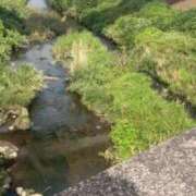 ヒメ日記 2025/10/25 13:47 投稿 こはる 宮崎ちゃんこ都城店