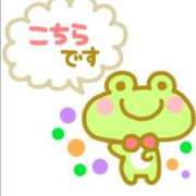 ヒメ日記 2025/10/28 13:25 投稿 こはる 宮崎ちゃんこ都城店