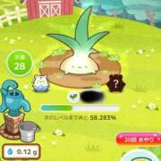 ヒメ日記 2025/11/07 17:15 投稿 こはる 宮崎ちゃんこ都城店