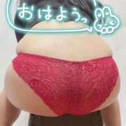 ヒメ日記 2025/11/14 06:05 投稿 こはる 宮崎ちゃんこ都城店