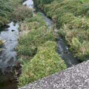 ヒメ日記 2025/11/17 12:14 投稿 こはる 宮崎ちゃんこ都城店