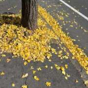 ヒメ日記 2025/11/18 14:43 投稿 こはる 宮崎ちゃんこ都城店