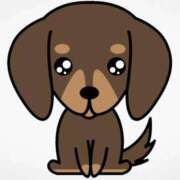 ヒメ日記 2025/11/21 13:25 投稿 こはる 宮崎ちゃんこ都城店