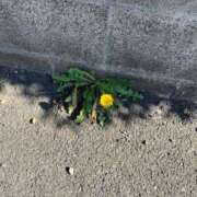 ヒメ日記 2025/11/23 17:15 投稿 こはる 宮崎ちゃんこ都城店