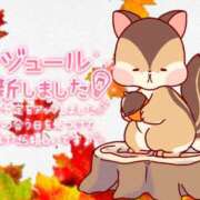 ヒメ日記 2025/11/24 13:39 投稿 こはる 宮崎ちゃんこ都城店