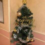 ヒメ日記 2025/11/30 14:45 投稿 こはる 宮崎ちゃんこ都城店