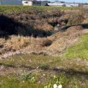 ヒメ日記 2026/01/07 19:45 投稿 こはる 宮崎ちゃんこ都城店