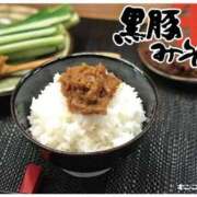 ヒメ日記 2026/02/25 11:10 投稿 こはる 宮崎ちゃんこ都城店