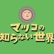 ヒメ日記 2026/02/27 09:45 投稿 こはる 宮崎ちゃんこ都城店