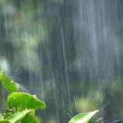 ヒメ日記 2026/03/24 16:05 投稿 こはる 宮崎ちゃんこ都城店