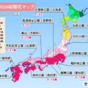 ヒメ日記 2026/03/26 13:51 投稿 こはる 宮崎ちゃんこ都城店