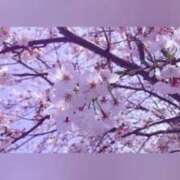 ヒメ日記 2026/03/31 14:35 投稿 こはる 宮崎ちゃんこ都城店