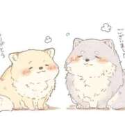 ヒメ日記 2026/04/13 20:25 投稿 こはる 宮崎ちゃんこ都城店