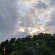 ヒメ日記 2026/05/03 18:20 投稿 かや 川崎・東横人妻城