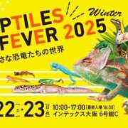 ヒメ日記 2025/02/23 15:34 投稿 あけみ CLUB DEEP