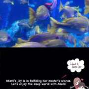 ヒメ日記 2025/03/01 23:54 投稿 あけみ CLUB DEEP