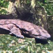 ヒメ日記 2025/08/28 18:24 投稿 あけみ CLUB DEEP