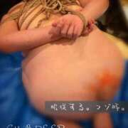 ヒメ日記 2025/12/04 23:45 投稿 あけみ CLUB DEEP