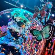 ヒメ日記 2026/03/04 20:54 投稿 あけみ CLUB DEEP