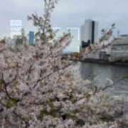 ヒメ日記 2026/04/09 18:24 投稿 あけみ CLUB DEEP