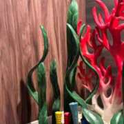 ヒメ日記 2026/06/16 12:34 投稿 あけみ CLUB DEEP