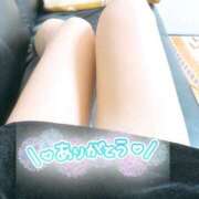 ヒメ日記 2025/04/20 15:42 投稿 るり【見逃せない美巨乳】 STAR-スター-