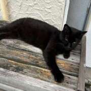 ヒメ日記 2025/09/12 18:22 投稿 るり【見逃せない美巨乳】 STAR-スター-