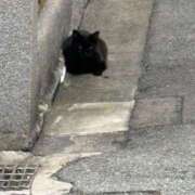 ヒメ日記 2025/09/26 20:22 投稿 るり【見逃せない美巨乳】 STAR-スター-