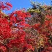 ヒメ日記 2024/12/20 18:52 投稿 春瀬景子 五十路マダムエクスプレス神戸店(カサブランカグループ)