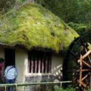 ヒメ日記 2025/03/15 07:30 投稿 春瀬景子 五十路マダムエクスプレス神戸店(カサブランカグループ)