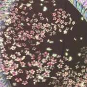 ヒメ日記 2025/03/18 08:24 投稿 春瀬景子 五十路マダムエクスプレス神戸店(カサブランカグループ)