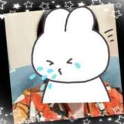 ヒメ日記 2025/04/18 08:26 投稿 春瀬景子 五十路マダムエクスプレス神戸店(カサブランカグループ)