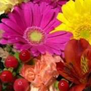 ヒメ日記 2025/05/19 07:46 投稿 春瀬景子 五十路マダムエクスプレス神戸店(カサブランカグループ)