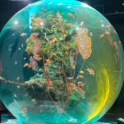 ヒメ日記 2025/06/20 09:34 投稿 春瀬景子 五十路マダムエクスプレス神戸店(カサブランカグループ)