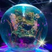 ヒメ日記 2025/08/03 06:20 投稿 春瀬景子 五十路マダムエクスプレス神戸店(カサブランカグループ)