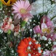 ヒメ日記 2025/09/19 17:36 投稿 春瀬景子 五十路マダムエクスプレス神戸店(カサブランカグループ)