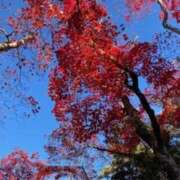 ヒメ日記 2025/10/06 09:46 投稿 春瀬景子 五十路マダムエクスプレス神戸店(カサブランカグループ)