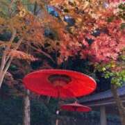 ヒメ日記 2025/11/03 20:26 投稿 春瀬景子 五十路マダムエクスプレス神戸店(カサブランカグループ)