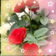 ヒメ日記 2025/12/07 18:48 投稿 春瀬景子 五十路マダムエクスプレス神戸店(カサブランカグループ)