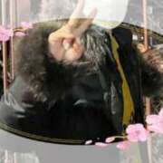 春瀬景子 おはようございます 五十路マダムエクスプレス神戸店(カサブランカグループ)