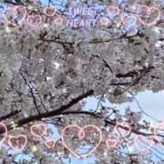 ヒメ日記 2026/03/03 10:44 投稿 春瀬景子 五十路マダムエクスプレス神戸店(カサブランカグループ)