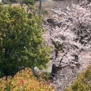 春瀬景子 お礼 五十路マダムエクスプレス神戸店(カサブランカグループ)