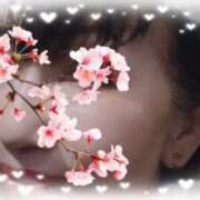 春瀬景子 おはようございます 五十路マダムエクスプレス神戸店(カサブランカグループ)