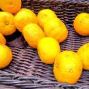 ヒメ日記 2024/12/21 11:26 投稿 まり 熟女22時