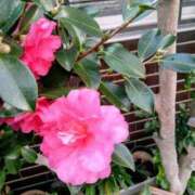 ヒメ日記 2025/01/27 12:03 投稿 まり 熟女22時