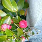 ヒメ日記 2025/01/29 11:39 投稿 まり 熟女22時