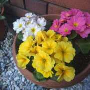 ヒメ日記 2025/02/09 11:42 投稿 まり 熟女22時