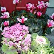 ヒメ日記 2025/03/06 11:15 投稿 まり 熟女22時